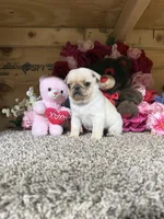 processed/6c594b11-6450-4a0c-8cbb-5213da1f207b/listing/864bd64d-ba2b-4742-893e-8a1891ab0561/248e2bd2-88f7-49bd-81ba-0025d4426b9b