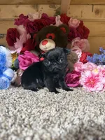 processed/6c594b11-6450-4a0c-8cbb-5213da1f207b/listing/990d9749-40bd-4adf-a5fa-abb96f2ae44e/01c4764b-1be4-4fa7-a603-f05d511185b4