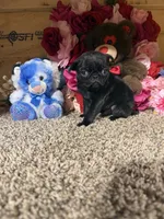 processed/6c594b11-6450-4a0c-8cbb-5213da1f207b/listing/990d9749-40bd-4adf-a5fa-abb96f2ae44e/a377a99b-9f4b-4f27-8061-66cee880750c