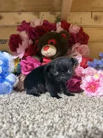 processed/6c594b11-6450-4a0c-8cbb-5213da1f207b/listing/990d9749-40bd-4adf-a5fa-abb96f2ae44e/ec314adb-9d51-4c4a-b653-3c74a244f7ff