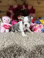 processed/6c594b11-6450-4a0c-8cbb-5213da1f207b/listing/b9dbf3d2-2e87-4bc0-ad77-c8cb74498681/691be475-88d1-4e10-a4b2-78938828ce71