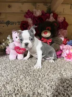 processed/6c594b11-6450-4a0c-8cbb-5213da1f207b/listing/b9dbf3d2-2e87-4bc0-ad77-c8cb74498681/f77f7b00-6b72-4a68-85a0-eda047fe92dd