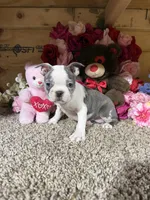 processed/6c594b11-6450-4a0c-8cbb-5213da1f207b/listing/b9dbf3d2-2e87-4bc0-ad77-c8cb74498681/fd76d91d-2211-4859-869b-9dae56683006