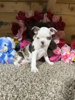 processed/6c594b11-6450-4a0c-8cbb-5213da1f207b/listing/edc47988-7d1e-4066-ace7-5f5a5e0453a0/66882de0-b9e7-48e2-8cef-c8663b6f7f88