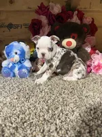 processed/6c594b11-6450-4a0c-8cbb-5213da1f207b/listing/edc47988-7d1e-4066-ace7-5f5a5e0453a0/f6ef0d9f-23b7-4903-a6bf-08e1409a161a