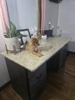 Puff, a male Pomeranian for sale in Montgomery, IN – 5 of 7