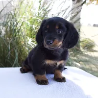 processed/6c8020af-0ba1-4164-8920-150398dbabc7/facility/0a6a021b-64e0-4683-b2f1-f330b7126a48