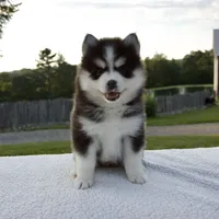 processed/6c8020af-0ba1-4164-8920-150398dbabc7/facility/0f57d555-0e52-4bdd-9412-e592353b2db1