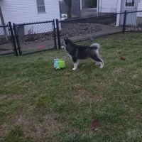 processed/6c8020af-0ba1-4164-8920-150398dbabc7/facility/70b48020-9614-408d-8dec-0d16f2fd22e3