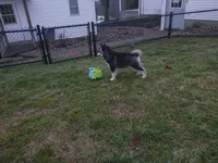 processed/6c8020af-0ba1-4164-8920-150398dbabc7/facility/70b48020-9614-408d-8dec-0d16f2fd22e3