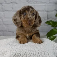 processed/6c8020af-0ba1-4164-8920-150398dbabc7/facility/7e523fed-9843-496b-9b59-581e5ccd0ad4