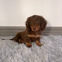 processed/6c8020af-0ba1-4164-8920-150398dbabc7/facility/b1d6b8d3-bf2a-49d3-9f8d-767027f9df33