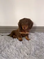 processed/6c8020af-0ba1-4164-8920-150398dbabc7/facility/b1d6b8d3-bf2a-49d3-9f8d-767027f9df33