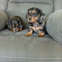 processed/6c8020af-0ba1-4164-8920-150398dbabc7/facility/d21273a2-1786-4e34-9072-b9d9831d4f32