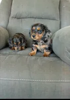 processed/6c8020af-0ba1-4164-8920-150398dbabc7/facility/d21273a2-1786-4e34-9072-b9d9831d4f32