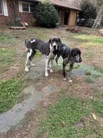 processed/6ca0357b-15d1-4e64-a020-09b339eea3eb/listing/3e8b7830-ef04-4fc4-86ee-6af513d1e10e/64b9d853-650d-43f3-a50e-a054c9369de1