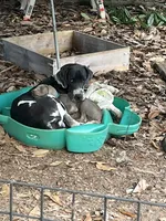 processed/6ca0357b-15d1-4e64-a020-09b339eea3eb/listing/3e8b7830-ef04-4fc4-86ee-6af513d1e10e/77075551-650e-4937-ba5d-e478ae0b9cc1