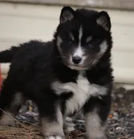 processed/6ca180fc-7f37-4648-817e-e89e0fd8d599/listing/0cb58a7f-24e0-4732-9d71-d3509900a6a0/47b60043-9d7b-4266-880a-bd65dec51b5d