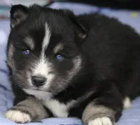 processed/6ca180fc-7f37-4648-817e-e89e0fd8d599/listing/0cb58a7f-24e0-4732-9d71-d3509900a6a0/57260207-7c30-4834-a18b-2998af57f3b1