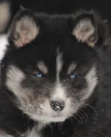 processed/6ca180fc-7f37-4648-817e-e89e0fd8d599/listing/0cb58a7f-24e0-4732-9d71-d3509900a6a0/d39b3205-8946-4456-b6ec-672d6852ce10