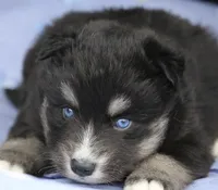 processed/6ca180fc-7f37-4648-817e-e89e0fd8d599/listing/0df69d85-6766-43cd-be73-ad46b76b593a/043bc42a-1f93-4e6e-8179-e8ff3315684a