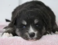 processed/6ca180fc-7f37-4648-817e-e89e0fd8d599/listing/0df69d85-6766-43cd-be73-ad46b76b593a/4434fde2-3859-4c87-9533-5c43dd14df19