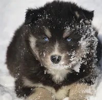 processed/6ca180fc-7f37-4648-817e-e89e0fd8d599/listing/0df69d85-6766-43cd-be73-ad46b76b593a/74e6ff39-daa7-44df-904f-de72bb0f243e