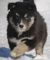 processed/6ca180fc-7f37-4648-817e-e89e0fd8d599/listing/0df69d85-6766-43cd-be73-ad46b76b593a/807888f6-1914-4617-bfdc-714983d8182c