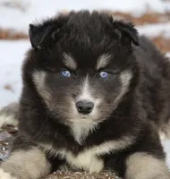 processed/6ca180fc-7f37-4648-817e-e89e0fd8d599/listing/0df69d85-6766-43cd-be73-ad46b76b593a/9933a7b6-cdfd-4847-81b6-60af7a91d572