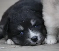 processed/6ca180fc-7f37-4648-817e-e89e0fd8d599/listing/0df69d85-6766-43cd-be73-ad46b76b593a/a346d373-29b9-4b9c-bd56-76006ea2207d