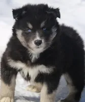 processed/6ca180fc-7f37-4648-817e-e89e0fd8d599/listing/0df69d85-6766-43cd-be73-ad46b76b593a/c9722f40-99fa-4036-864a-8dbe934f4b99