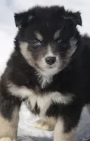 processed/6ca180fc-7f37-4648-817e-e89e0fd8d599/listing/0df69d85-6766-43cd-be73-ad46b76b593a/db51f058-dfa2-4fe0-b12d-2f39bd85b05c