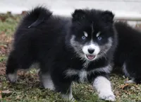 processed/6ca180fc-7f37-4648-817e-e89e0fd8d599/listing/167eab89-fe4f-4ee8-830f-2ed7d7544195/08c4033e-49f3-4885-ab83-cff76ba74dce