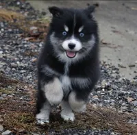 processed/6ca180fc-7f37-4648-817e-e89e0fd8d599/listing/167eab89-fe4f-4ee8-830f-2ed7d7544195/3a6a93a9-aa94-4226-827b-59c18e017b17