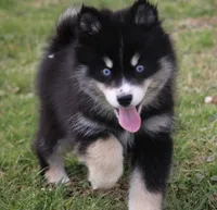 processed/6ca180fc-7f37-4648-817e-e89e0fd8d599/listing/167eab89-fe4f-4ee8-830f-2ed7d7544195/6a7cc346-727e-4f54-85bf-54d3f65cfb52