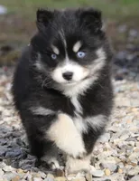 processed/6ca180fc-7f37-4648-817e-e89e0fd8d599/listing/167eab89-fe4f-4ee8-830f-2ed7d7544195/88322aab-c868-4e73-b2df-dc7dfc7c3a1b