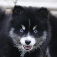 processed/6ca180fc-7f37-4648-817e-e89e0fd8d599/listing/167eab89-fe4f-4ee8-830f-2ed7d7544195/91c636a8-f495-4abb-b00e-dd8a71f6c535