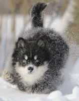 processed/6ca180fc-7f37-4648-817e-e89e0fd8d599/listing/167eab89-fe4f-4ee8-830f-2ed7d7544195/9e6a850a-1ff3-49f4-a0ff-405548afef99