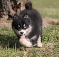 processed/6ca180fc-7f37-4648-817e-e89e0fd8d599/listing/167eab89-fe4f-4ee8-830f-2ed7d7544195/e975b52f-b615-4168-abfa-f7a0bc511760