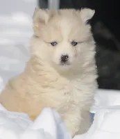 processed/6ca180fc-7f37-4648-817e-e89e0fd8d599/listing/3c6c3d6d-51ba-4a4d-a1a3-7f2fef0eee50/20047b9d-cced-4d9b-82e5-f1ed3da644f8