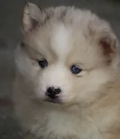 processed/6ca180fc-7f37-4648-817e-e89e0fd8d599/listing/3c6c3d6d-51ba-4a4d-a1a3-7f2fef0eee50/532867f9-e297-48db-8b70-df998e9a5abd