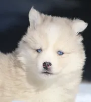 processed/6ca180fc-7f37-4648-817e-e89e0fd8d599/listing/3c6c3d6d-51ba-4a4d-a1a3-7f2fef0eee50/6de336a9-b869-4c53-8397-136cade3a94a