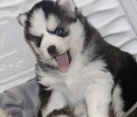 processed/6ca180fc-7f37-4648-817e-e89e0fd8d599/listing/44796e5e-e72c-4e54-82de-aadec9c449bc/26561398-700f-473a-b3ed-8733d2ec26e2