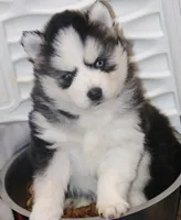 processed/6ca180fc-7f37-4648-817e-e89e0fd8d599/listing/44796e5e-e72c-4e54-82de-aadec9c449bc/2c87cbbf-bdce-44b6-ad01-6f6e981d7bb9