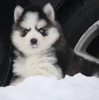 processed/6ca180fc-7f37-4648-817e-e89e0fd8d599/listing/44796e5e-e72c-4e54-82de-aadec9c449bc/db99f313-20e8-40b4-a16f-00c58f0f4574