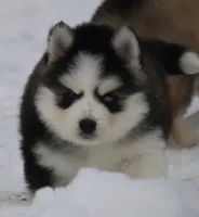 processed/6ca180fc-7f37-4648-817e-e89e0fd8d599/listing/44796e5e-e72c-4e54-82de-aadec9c449bc/e51f5bc3-c459-4968-876a-dfce78e6846b