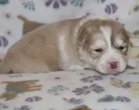 processed/6ca180fc-7f37-4648-817e-e89e0fd8d599/listing/45f270e8-ea4c-4b9c-9d25-4f60dc21b19d/455744e3-cb06-4152-a4d0-8c1322befc28