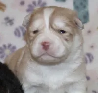 processed/6ca180fc-7f37-4648-817e-e89e0fd8d599/listing/45f270e8-ea4c-4b9c-9d25-4f60dc21b19d/a6246301-c098-445c-9941-9b21b1b2cabf