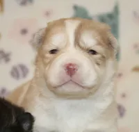 processed/6ca180fc-7f37-4648-817e-e89e0fd8d599/listing/45f270e8-ea4c-4b9c-9d25-4f60dc21b19d/bd6f1eac-d0a6-4e46-9727-5bcc05bba264