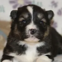 processed/6ca180fc-7f37-4648-817e-e89e0fd8d599/listing/51c3c3f4-4860-473c-811a-0046e20ea14f/625a5f93-a3b9-43bf-be0e-801fdf9dfc64